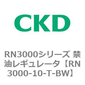 RN3000シリーズ 禁油レギュレータ CKD