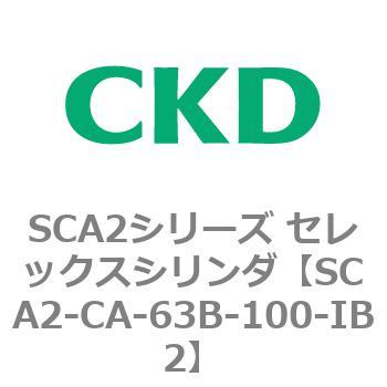 SCA2-CA-63B-100-IB2 SCA2シリーズ セレックスシリンダ(SCA2-CA-～) 1