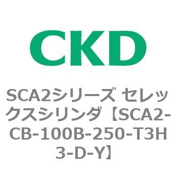 SCA2-CB-100B-250-T3H3-D-Y SCA2シリーズ セレックスシリンダ(SCA2-CA