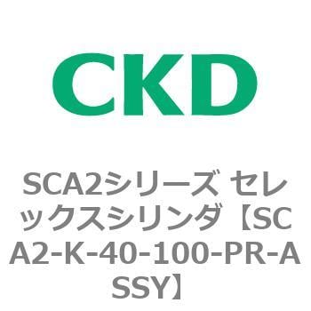 SCA2-K-40-100-PR-ASSY SCA2シリーズ セレックスシリンダ(SCA2-K～) 1