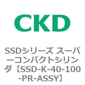 超爆安 CKD コンパクトシリンダ用ピストンロッド組立 SSD-K-100-40-PR