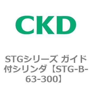 STG-B-63-300 STGV[Y KChtV_(STG-B-6`) CKD 84704024