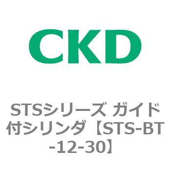 STSシリーズ ガイド付シリンダ(STS-BT～) CKD