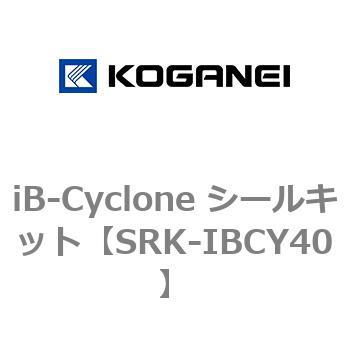 iB-Cyclone シールキット コガネイ