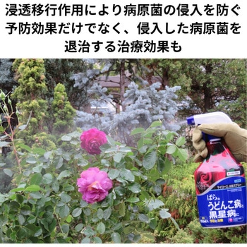 マイローズ殺菌スプレー 住友化学園芸