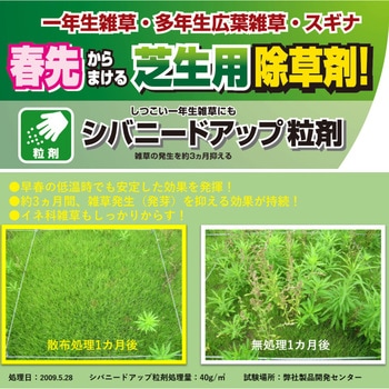 シバニードアップ粒剤 住友化学園芸