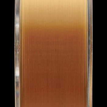 バスザイル フレックスハードHD(ナイロン) EverGreen INTERNATIONAL