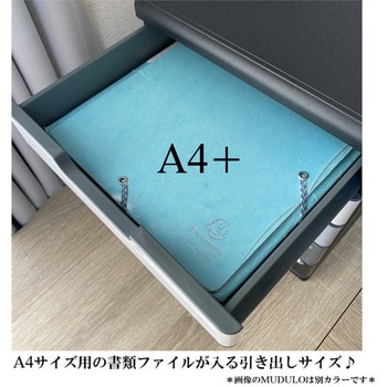 ◇◇エクシード純正ソフトケース MEZZ 【新品】 浴びれ レター