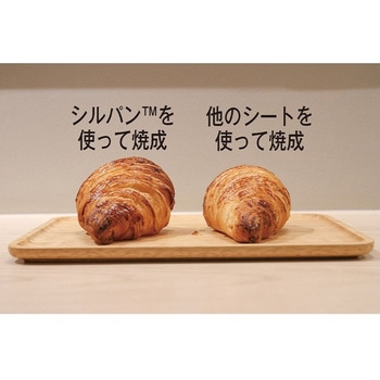ドゥマール シルパン ドゥマール