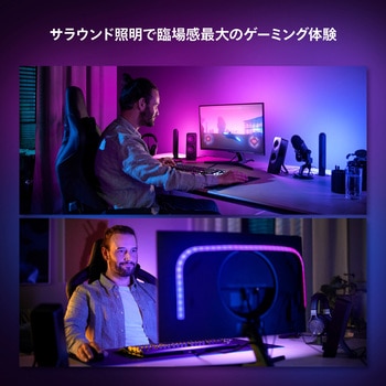 Philips Hue Play グラデーションライトリボン PC 24-27インチ専用 フィリップス