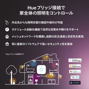 Philips Hue Play グラデーションライトリボン PC 24-27インチ専用 フィリップス