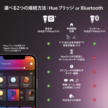 Philips Hue Play グラデーションライトリボン PC 24-27インチ専用 フィリップス