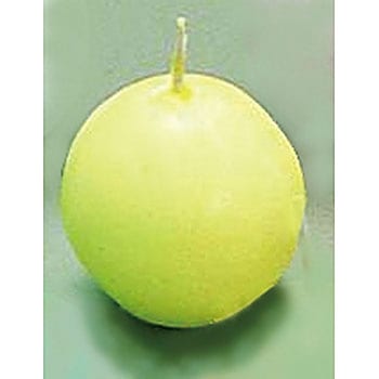 40044 �{�[���L�����h�� �l�N�X�g�E�e�[�u���E�F�A�C���^�[�i�V���� �R�Ď���4���� 00484112