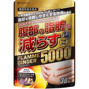 フラムジンジャー aequalis