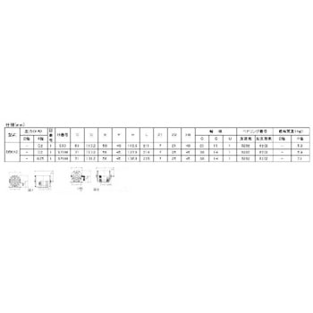 SIK-4P-0.25kW-DBKK2-S71M 単相モートル(防滴保護形)分相始動形 