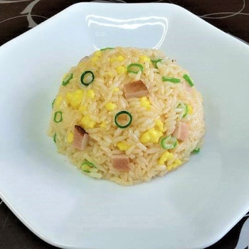 食品サンプル イムラサンプル