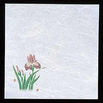 新・濡れ奉書紙 菖蒲 - 用美(ヤマコー)