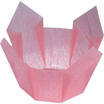 両面 OP珍味入れ 紅梅雲竜 用美(ヤマコー)