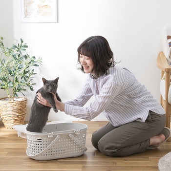 メッシュペットキャリー アイリスオーヤマ
