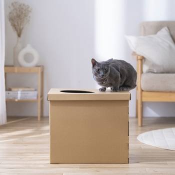 上から段ボール猫トイレ アイリスオーヤマ