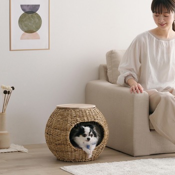 ラタン調ペットハウス ボール アイリスオーヤマ