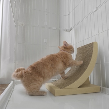 猫の爪とぎ アーチタイプ アイリスオーヤマ