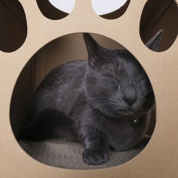 ねこねこトンネル BOX単品 アイリスオーヤマ