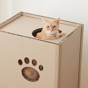 ねこねこタワー アイリスオーヤマ
