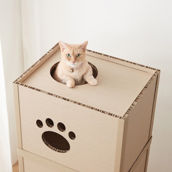 ねこねこタワー アイリスオーヤマ