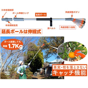 12Vコードレス 高枝電動ハサミ YARD FORCE