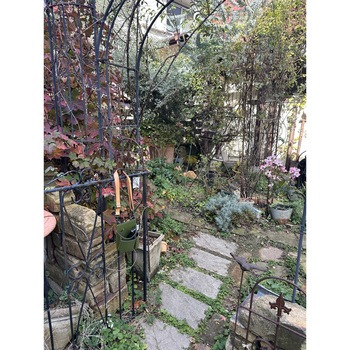 F.F.G Gardening Tool Holder KANAMONO