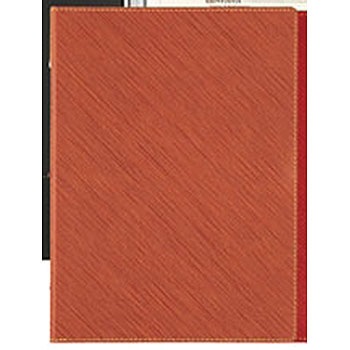 BGL �C���t�H&���j���[�u�b�N �X���� �V���r 00621766