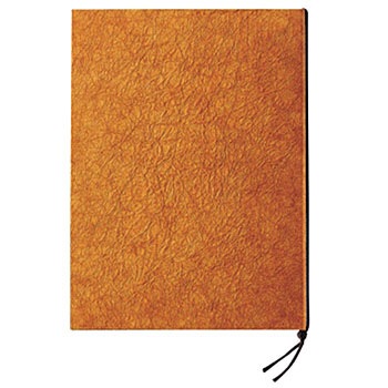 401 ���j���[�u�b�N ������ 00624173