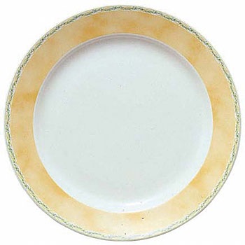 ニューグランドセラム ディナー皿 NORITAKE(ノリタケ) 丸皿・オーバル 