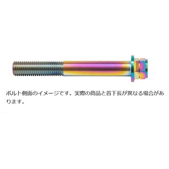 ステンレスキャリパーマウントボルト チタン色 CMBF-085T プロトブレンボ