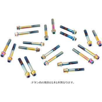 ステンレスキャリパーマウントボルト チタン色 CMBF-085T プロトブレンボ