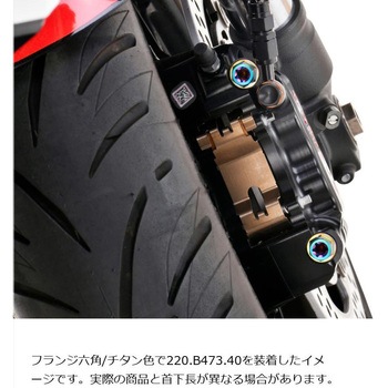 ステンレスキャリパーマウントボルト チタン色 CMBF-055T プロトブレンボ