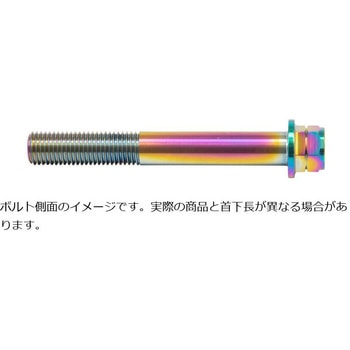 ステンレスキャリパーマウントボルト チタン色 CMBF-055T プロトブレンボ