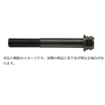 ステンレスキャリパーマウントボルト ブラック CMBF-060B プロトブレンボ