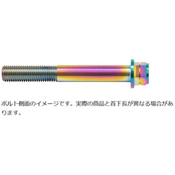 ステンレスキャリパーマウントボルト チタン色 CMBF-060T プロトブレンボ