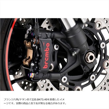 ステンレスキャリパーマウントボルト チタン色 CMBF-065T プロトブレンボ