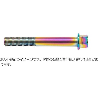 ステンレスキャリパーマウントボルト チタン色 CMBF-065T プロトブレンボ
