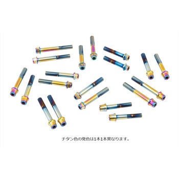 ステンレスキャリパーマウントボルト チタン色 CMBF-065T プロトブレンボ