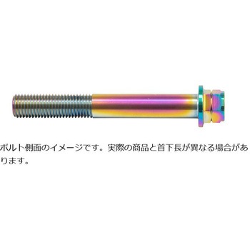ステンレスキャリパーマウントボルト チタン色 CMBF-070T プロトブレンボ