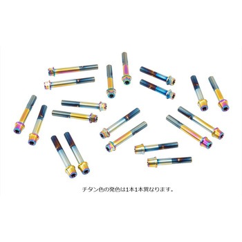 ステンレスキャリパーマウントボルト チタン色 CMBF-070T プロトブレンボ