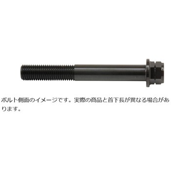 ステンレスキャリパーマウントボルト ブラック CMBF-075B プロトブレンボ