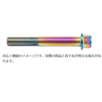 ステンレスキャリパーマウントボルト チタン色 CMBF-075T プロトブレンボ