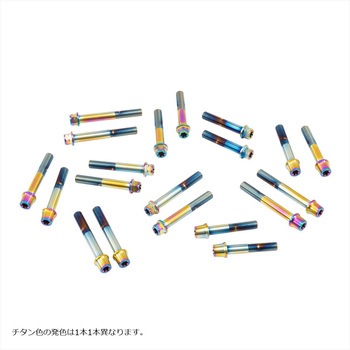 ステンレスキャリパーマウントボルト チタン色 CMBF-075T プロトブレンボ