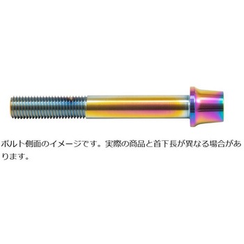 ステンレスキャリパーマウントボルト チタン色 CMBT-085T プロトブレンボ