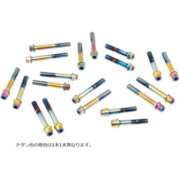 ステンレスキャリパーマウントボルト チタン色 CMBT-085T プロトブレンボ